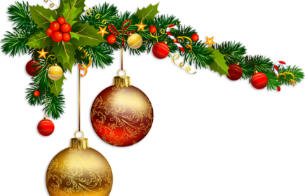 🎄 Merry Christmas and Happy New Year ⭐